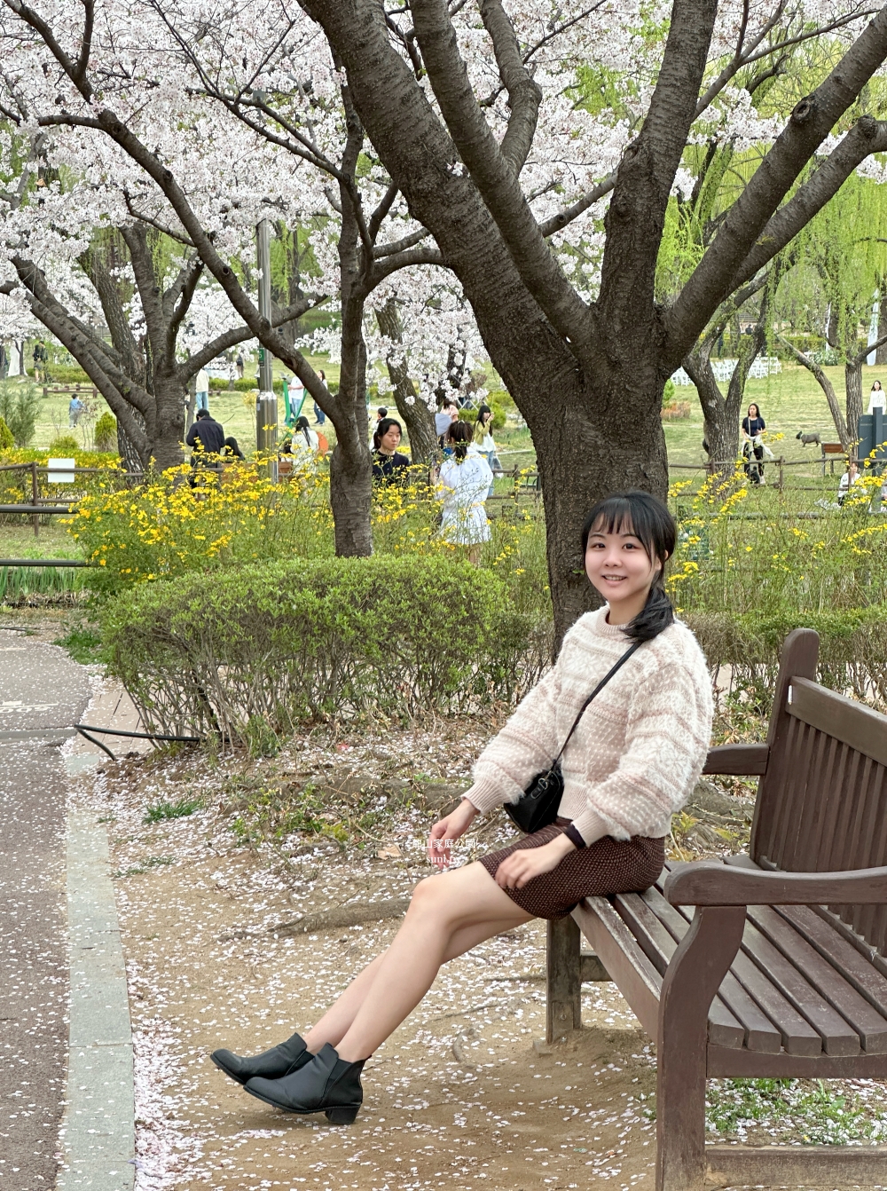 龍山家族公園｜首爾櫻花景點。優哉漫步的櫻吹雪景點